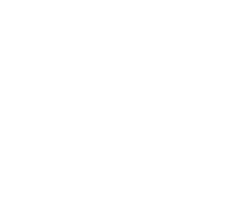 hounddog-logo-icon